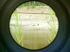 Voyeur spycam on the beach