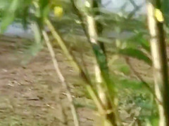 Beach voyeur sex
