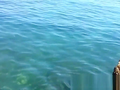 Spying on a cute cutie at the nudist beach voyeur cam