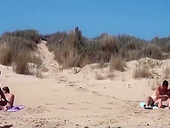 Nice day at the beach 558