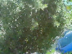 My Trip to Fort Lauderdale 2012
