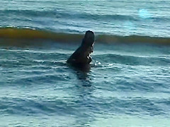 Spy nude girl picked up by voyeur cam at nude beach