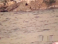hairy Pussy Trimmed Nudist Milfs Beach Voyeur Spycam Hidden