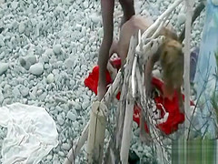 theSandfly Sexhibitionists Paradiso!