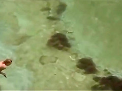 A Day At The Beach 2