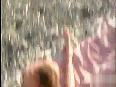 theSandfly Beach Sex Maniacs!