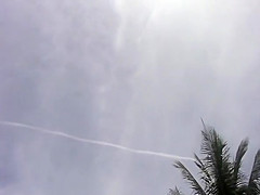 Cumshot, Beach, Blue Sky