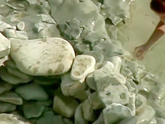 Young Couple On The Nude Beach