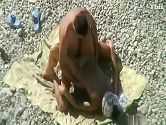 theSandfly Sexy Beach Sights