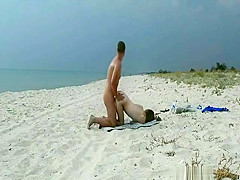 theSandfly Sexy Beach Sights