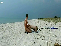 theSandfly Sexy Beach Sights