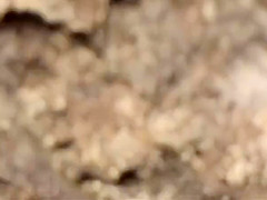 Sweet Little Beach Sex