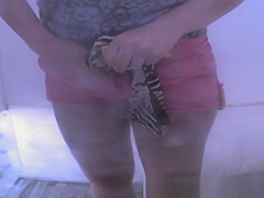Wild Spy Cam, Beach, Amateur Clip Show