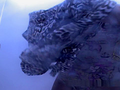 Great Amateur, Changing Room, Voyeur Scene, Watch It