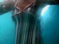 Hidden Spy Amateur, Changing Room, Beach Video, Watch It