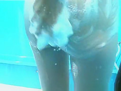 Wild Changing Room, Russian, Beach Scene