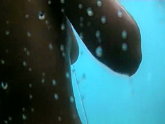 Newest Amateur, Voyeur, Beach Video Watch Show