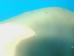 Great Spy Cam, Russian, Amateur Movie Full Version