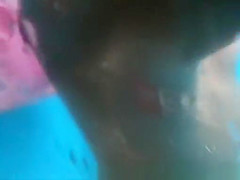 Wild Spy Cam, Beach, Voyeur Video