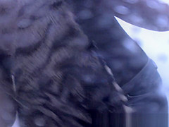 Incredible Spy Cam, Voyeur, Beach Clip Unique