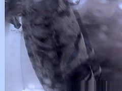 Incredible Spy Cam, Voyeur, Beach Clip Unique