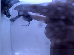 Incredible Spy Cam, Voyeur, Beach Clip Unique