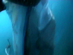Unbelievable Changing Room, Russian, Beach Scene Show