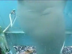 Amateur, Voyeur, Russian Clip Uncut