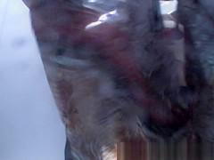 Best Voyeur, Spy Cam, Changing Room Scene, Watch It