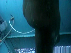 Hottest Beach, Spy Cam, Voyeur Scene Show