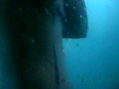 Wild Beach, Voyeur, Amateur Movie, Watch It