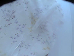 Exclusive Russian, Changing Room, Voyeur Scene Watch Show