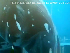 Greatest Russian, Changing Room, Spy Cam Scene Just For You