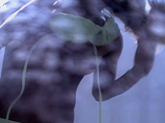 Hot Spy Cam, Changing Room, Russian Clip, It'S Amaising