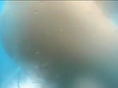 Wild Beach, Amateur, Voyeur Video Unique