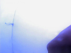 Great Voyeur, Changing Room, Spy Cam Scene Only Here