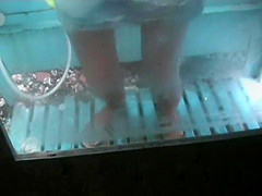 Best Amateur, Spy Cam, Changing Room Clip Show