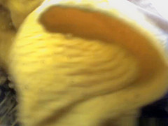 Hidden Russian, Amateur, Beach Video Uncut