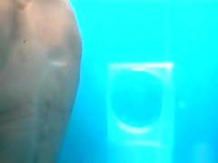 Watch Amateur, Spy Cam, Beach Movie Exclusive Version