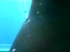 Hottest Voyeur, Beach, Amateur Movie Just For You