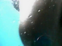 Hottest Voyeur, Beach, Amateur Movie Just For You