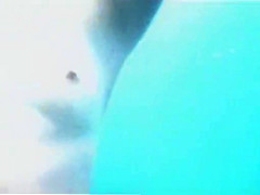 Incredible Voyeur, Beach, Spy Cam Clip, Watch It