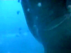 Hottest Changing Room, Spy Cam, Voyeur Clip, Watch It