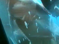 Incredible Amateur, Beach, Voyeur Movie, Watch It