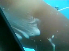 Incredible Amateur, Beach, Voyeur Movie, Watch It