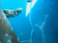 Incredible Amateur, Beach, Voyeur Movie, Watch It