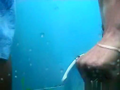 Incredible Voyeur, Amateur, Beach Clip, Watch It