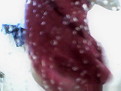 Spy Changing Room, Voyeur, Russian Scene Watch Show