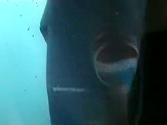 Spy Cam Shows Russian, Beach, Spy Cam Clip Exclusive Version