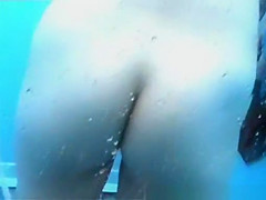 Greatest Beach, Spy Cam, Amateur Scene Ever Seen